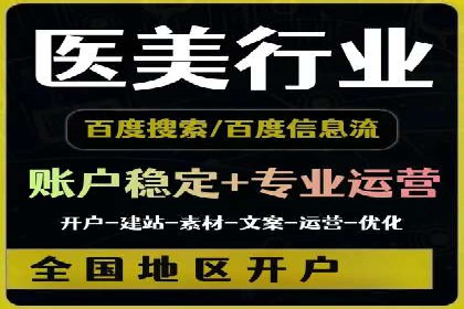 某电商平台的SEM策略与效果展示